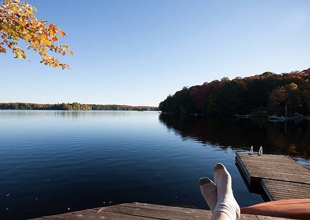 istock Lake in Autumn 524329347