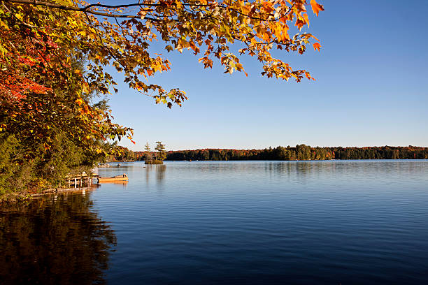 istock Lake in Autumn 524329351