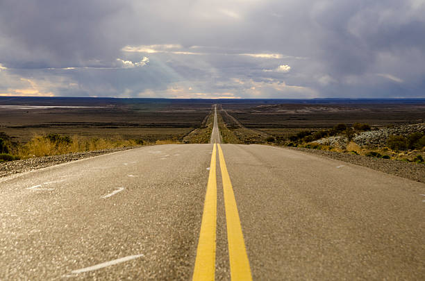 istock Route 40, Patagonia 524329987