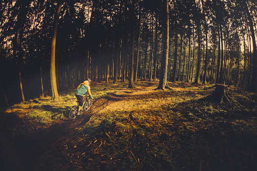 Man on mountain bike rides on track in forest