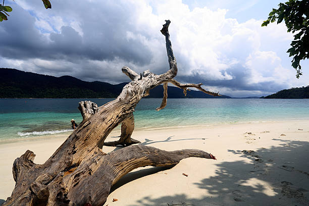 White sand beach in Rawi Island, Tarutao National Park. White sand beach in Adang Rawi Island, Tarutao National Park, Satun, South of ThailandWhite sand beach in Adang Rawi Island, Tarutao National Park, Satun, South of Thailand tarutao stock pictures, royalty-free photos & images