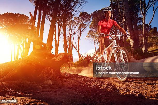 Mountain Bike Athlete Stock Photo - Download Image Now - Active Lifestyle, Activity, Adult