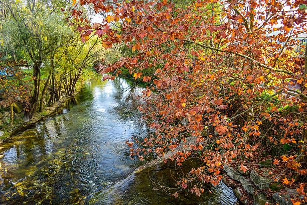 Colors of Autumn stock photo