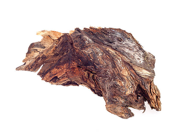 istock piece of wood on a white background 524372992
