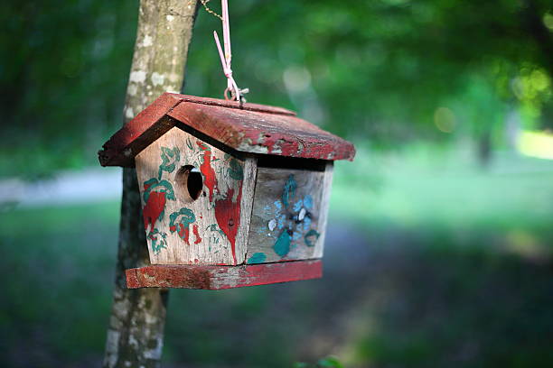 istock Colorful bird house in the forest. 524373608
