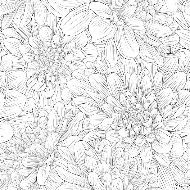 красивые монохромный черный и белый бесшовный фон с цветами. - single flower chrysanthemum design plant stock illustrations