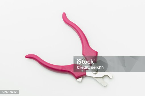 istock Clippers claws 524374325