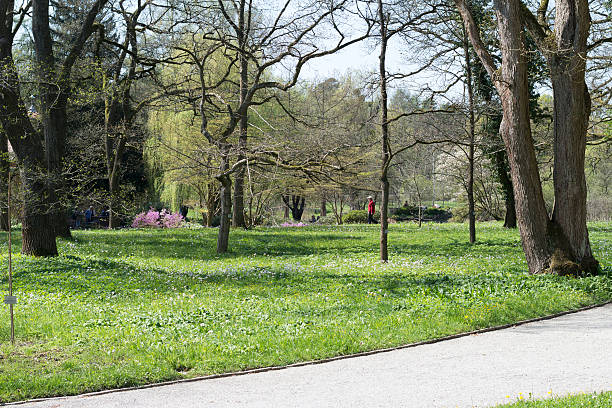 Munchen Germany - April 20, 2016: A walkway in the beautiful park in botanical garden in Munich Germany, Munchen Germany. A well visited botanical garden close to the Castle of Nympenburg and people are visiting this place during spring and summer and every week it looks different pending on the growth of the flowers. 