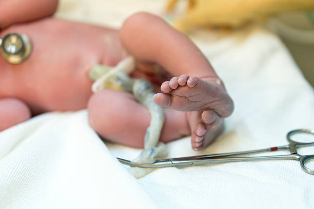 neugeborenen, die füße und der nabelschnur - menschlicher zeh stock-fotos und bilder