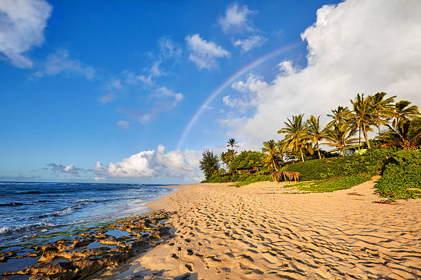 regenbogen über dem beliebten surfer platzieren von sunset beach, oahu, hawaii - oahu water sand beach stock-fotos und bilder