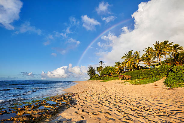 arco iris sobre la popular lugar de surf sunset beach, oahu, hawaii - north shore fotografías e imágenes de stock