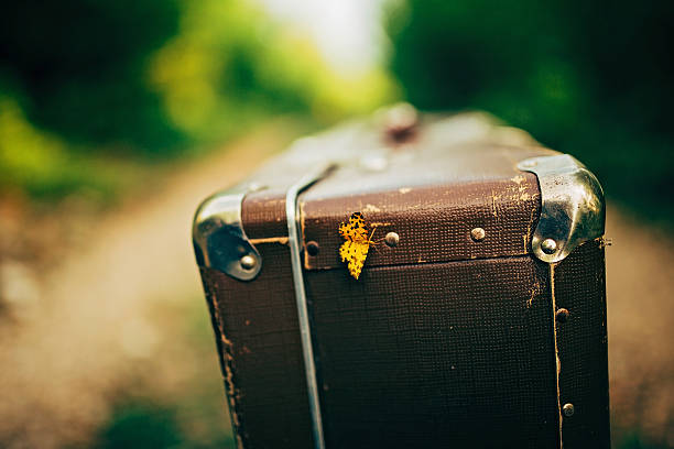 żółty motyl na walizka - suitcase old fashioned road retro revival zdjęcia i obrazy z banku zdjęć