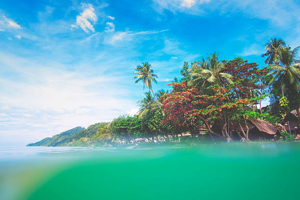 istock Tropical island in Thailand 524378634