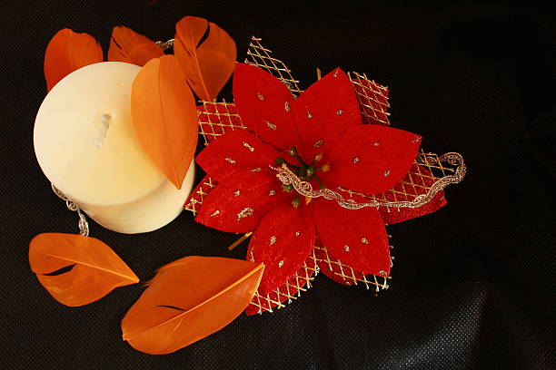 istock red white lily flower on black background 524379068