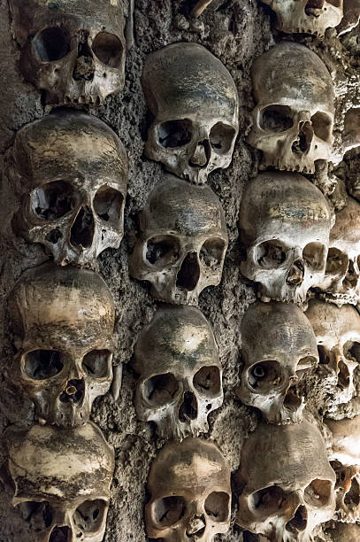 istock Wall full of skulls and bones 524384148