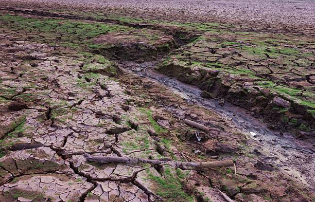 The Dried A small stream runs dry, no water. el nino stock pictures, royalty-free photos & images