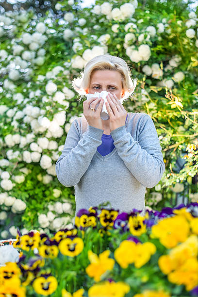 istock Woman sneezing in the blossoming garden 524387968