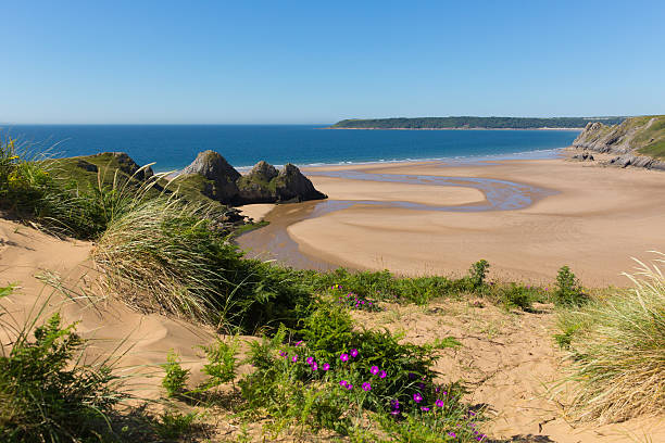 Three Cliffs Bay the Gower Wales uk in summer Three Cliffs Bay the Gower Wales uk in summer sunshine beautiful part of the peninsula gower peninsular stock pictures, royalty-free photos & images