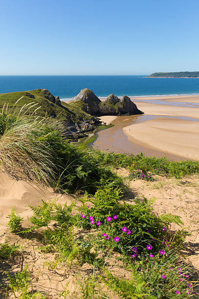 istock Three Cliffs Bay the Gower Wales uk in summer 524388996