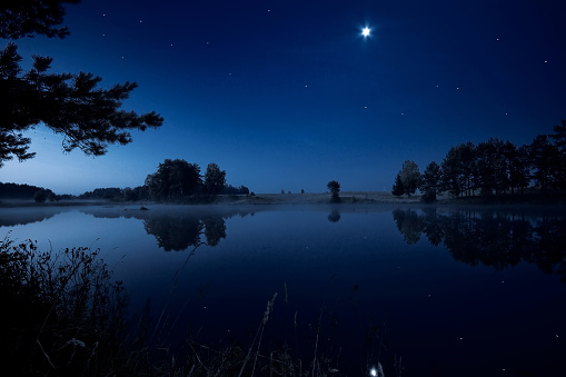 New Moon and a star Over forest