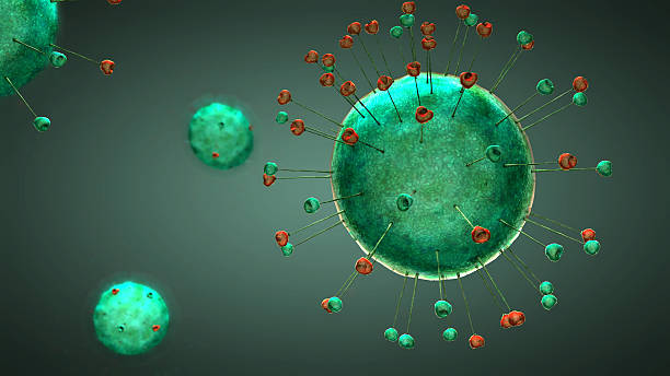 3 d ~의 삽화 4 초록색입니다 채색기법 바이러스 세포 - bacterium magnification high scale magnification green 뉴스 사진 이미지