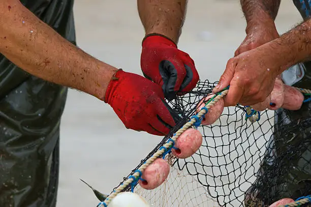 fisherman attracts fishingnet