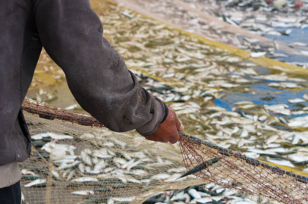 istock fisherman attracts fishingnet 524393628