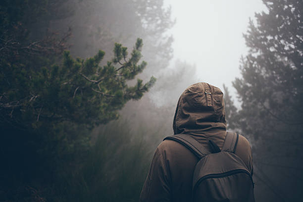 istock Traveler got lost in a fog 524394380