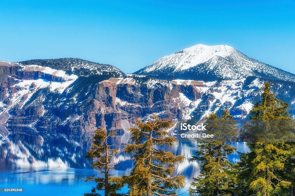 Crater Lake National Park Trees kissed by the afternoon sun along the southeast end of Crater Lake.  The Volcano's snowy rim reflects into the deep blue waters under blue skies Crater Lake National Park Stock Photo