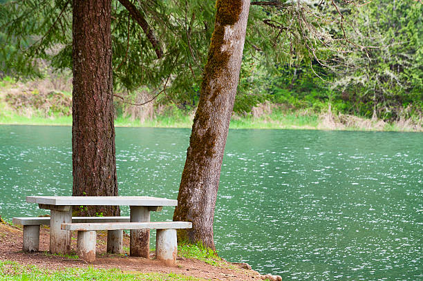 istock Picnic Table on shore of Hagg lake 524395430