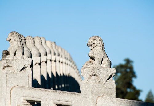 The stone lion statues on the Seventeen Hole Bridge, Summer Palace of Beijing