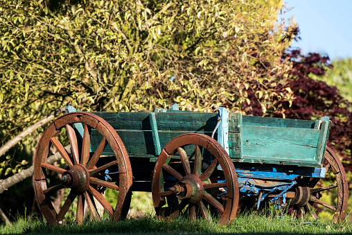 Old wooden horse cart in garden at springtime.