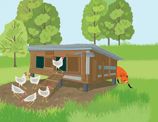 Vector illustration of Fox Sneaks Around A Henhouse