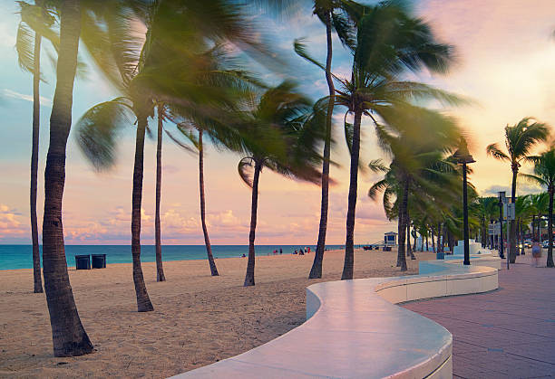 playa de fort lauderdale - fort lauderdale florida miami florida beach fotografías e imágenes de stock