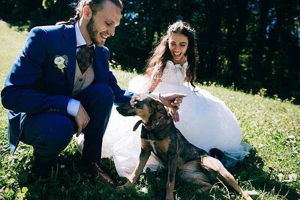 istock Happy sensual Bride and groom at wedding Day 524397692