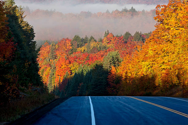 istock Autumn Colors and road 524397891