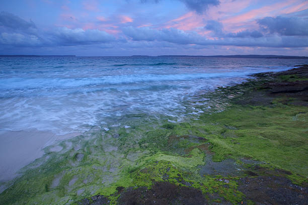 australie, le littoral de la baie de jervis - jervis inlet photos et images de collection