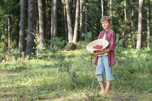 Standing full length teenage boy is holding straw hat full of red wildberries. Portrait of teenage farmer boy with wide-brimmed straw hat full of ripe lingonberries or cowberries (Vaccinium vitis-idaea in Latin) at summer pine forest background. Organic natural fruit of evergreen plants from green summer forest. Boy is looking at camera and wearing red checkered shirt with short sleeves, blue denim shorts, white shirt. Horizontal image.