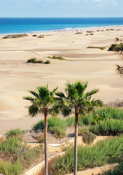 istock Sand dunes of Maspalomas. Gran Canaria. Canary Islands 524399998
