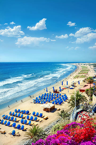 Playa del Ingles beach. Maspalomas. Gran Canaria View of Playa del Ingles beach. Maspalomas. Gran Canaria grand canary stock pictures, royalty-free photos & images