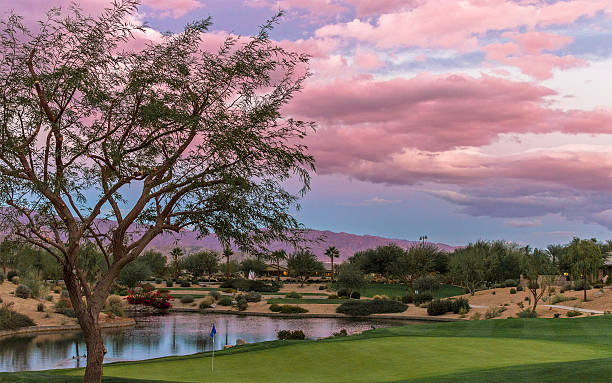 Golf course Homes and landscape in a golfing community. palm desert pool stock pictures, royalty-free photos & images