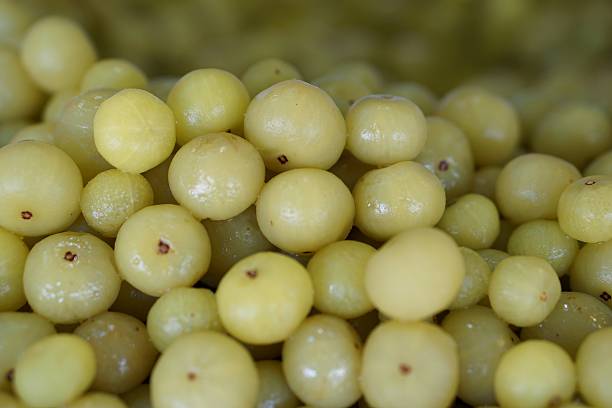 istock group of fruit preserve_Indian Gooseberry 524402611