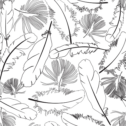 Feather contour seamless pattern