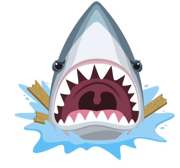 Shark attack jaw teeth mad furious Shark attack jaw teeth mad furious, vector illustration cartoon. great white shark stock illustrations