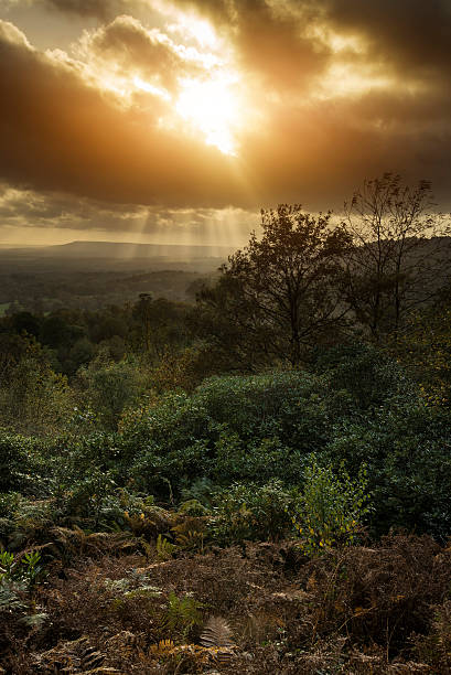 istock Beautiful Autumn Fall sunset over forest landscape with moody dr 524427959