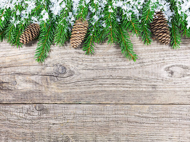 istock Christmas fir tree on rustic wooden board 524429645