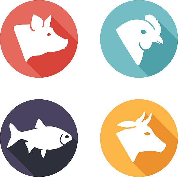 мясо животных значки. плоский стиль - designation stock illustrations