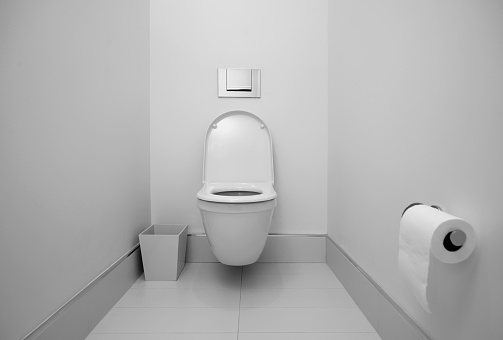 Modern white toilet room.