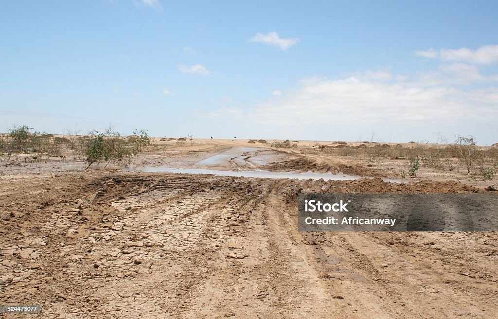 Muddy sal Road después de Lluvia fuerte, costa de los esqueletos, Namibia, África - Foto de stock de Carretera de tierra libre de derechos