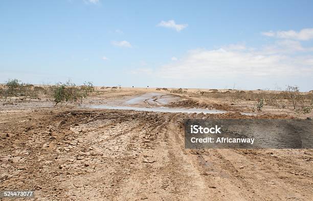 Muddy Sal Road Después De Lluvia Fuerte Costa De Los Esqueletos Namibia África Foto de stock y más banco de imágenes de Carretera de tierra